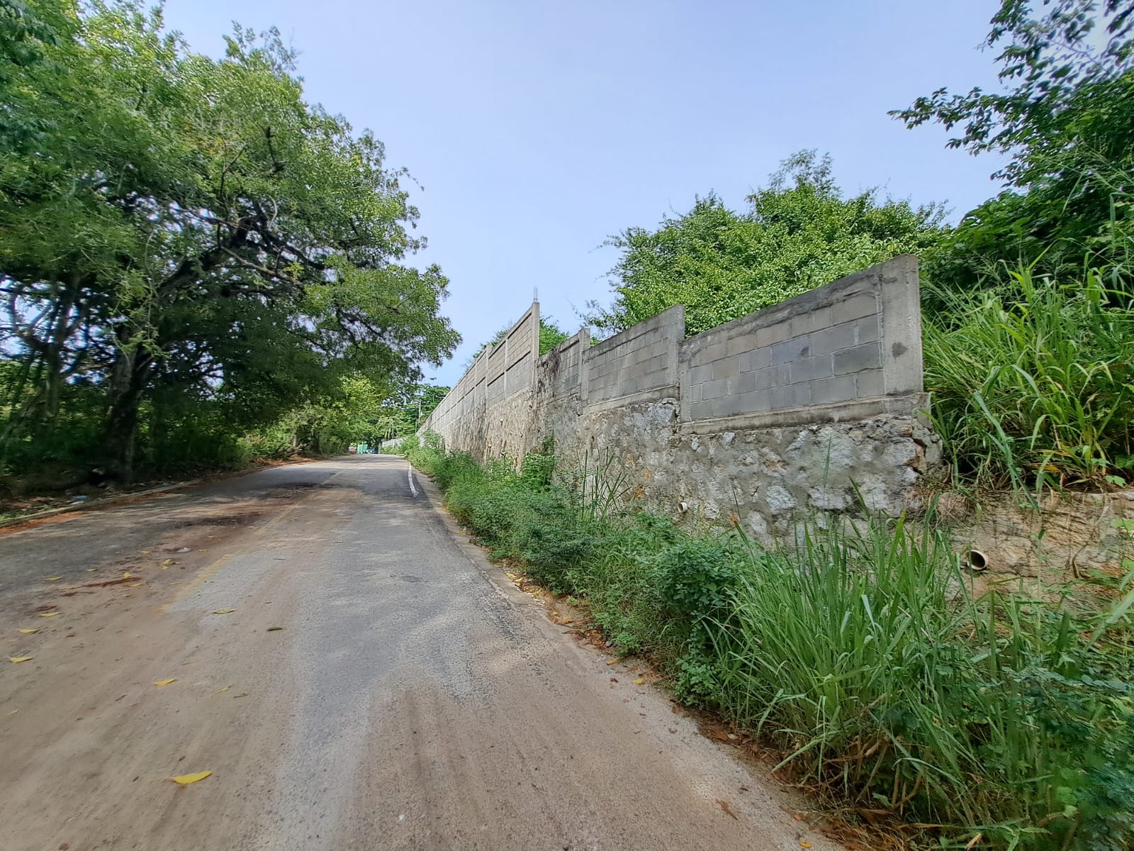 Construcción de barda perimetral en Colegio de Bachilleres No. 29