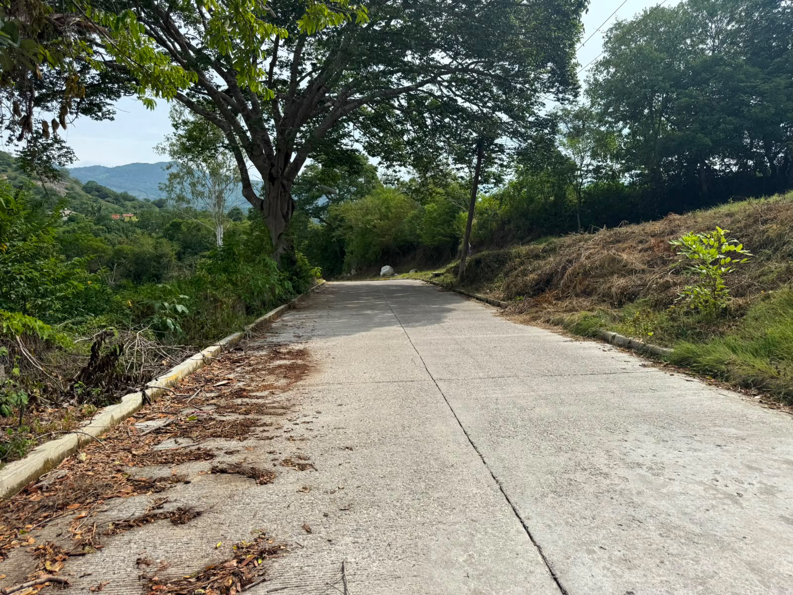 Pavimentación de calle principal en Las Tortolitas
