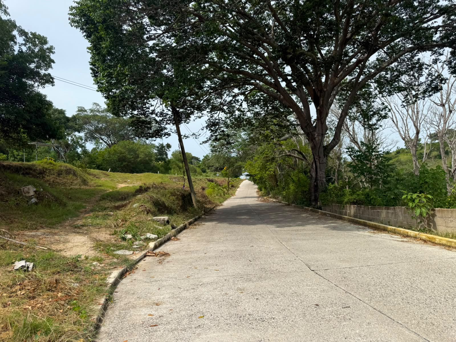 Pavimentación de calle principal en Las Tortolitas