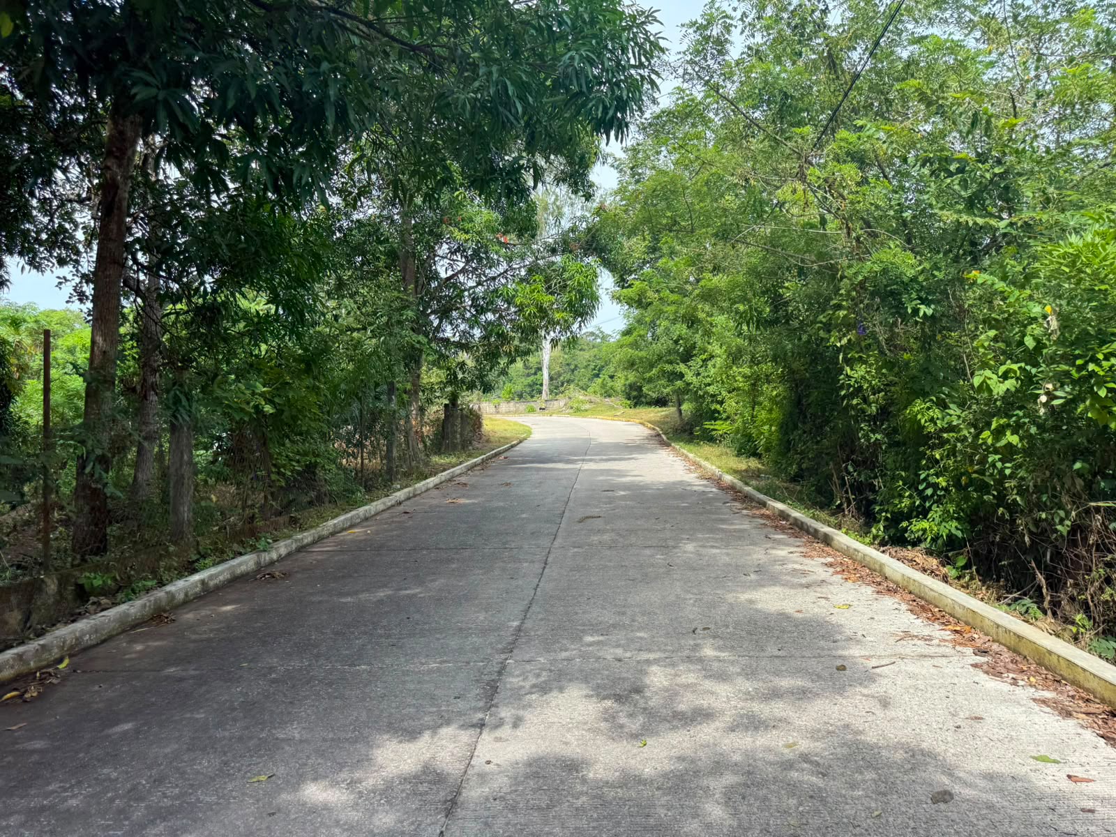 Pavimentación de calle principal en Las Tortolitas