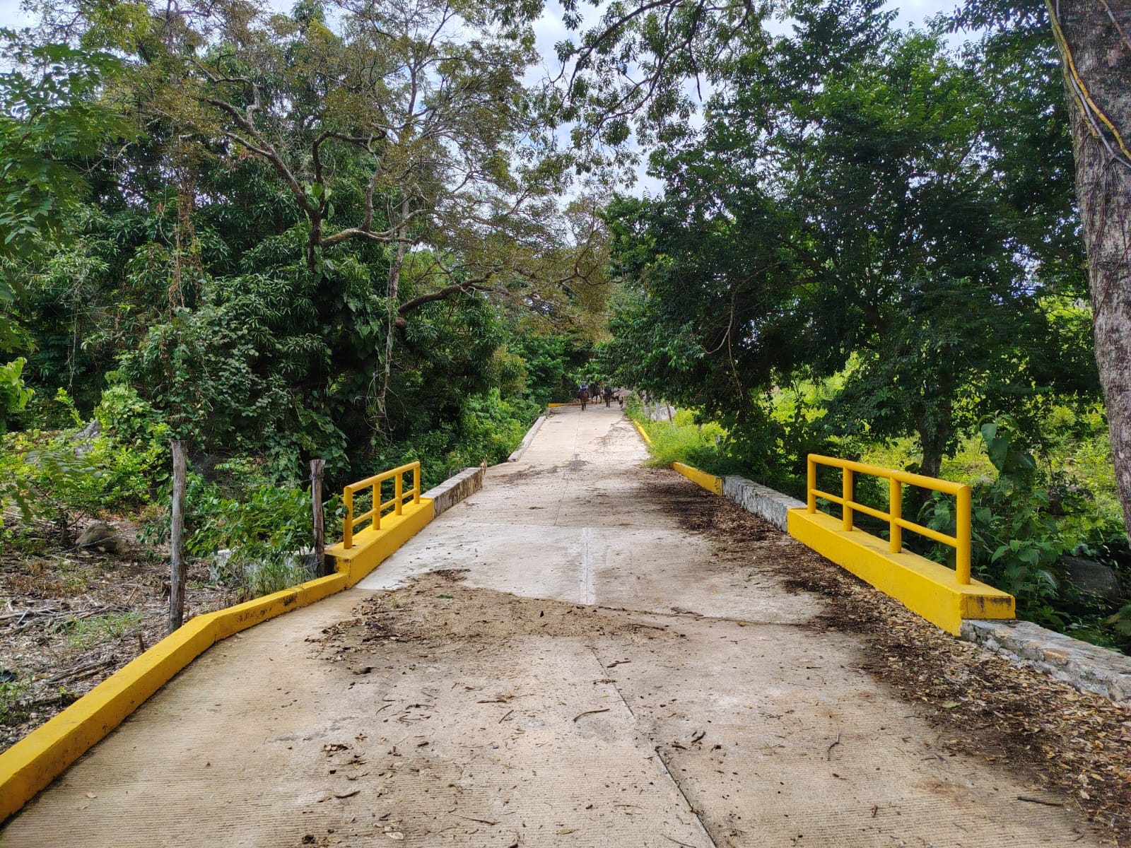 Pavimentación de calle del Panteón, obra 58 del Distrito 9
