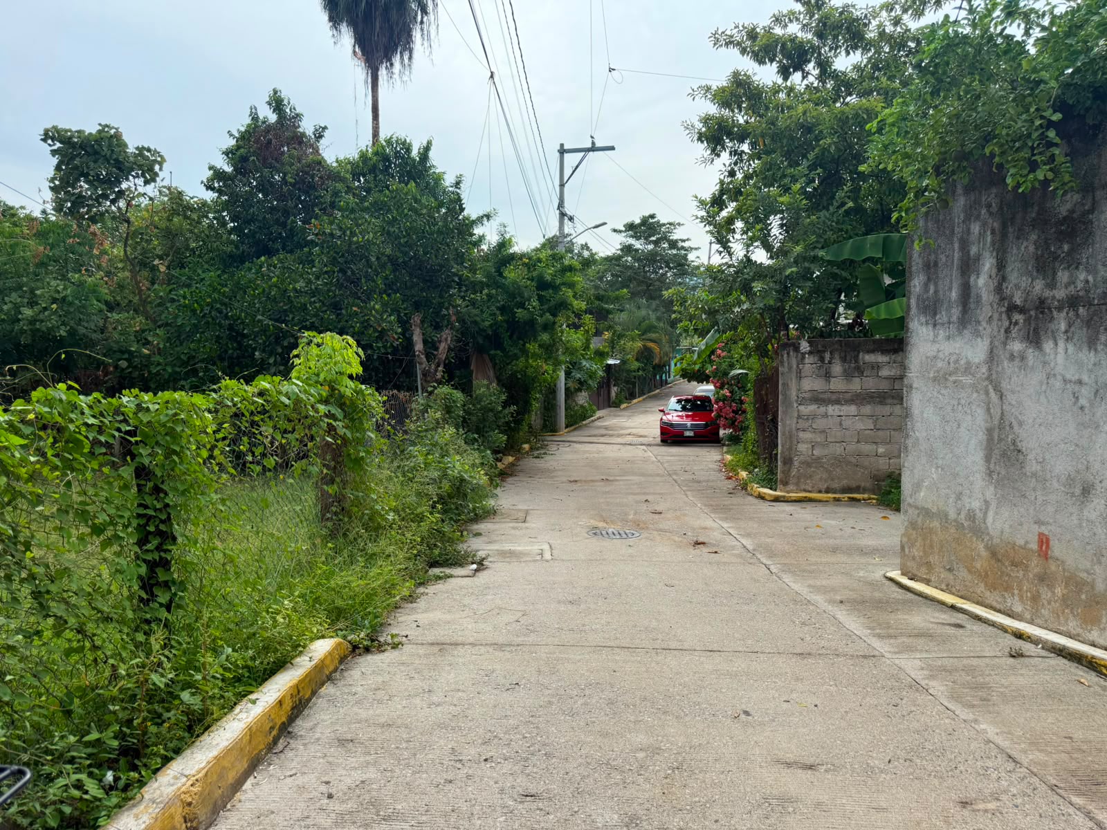 Pavimentación de calle Benito Juárez