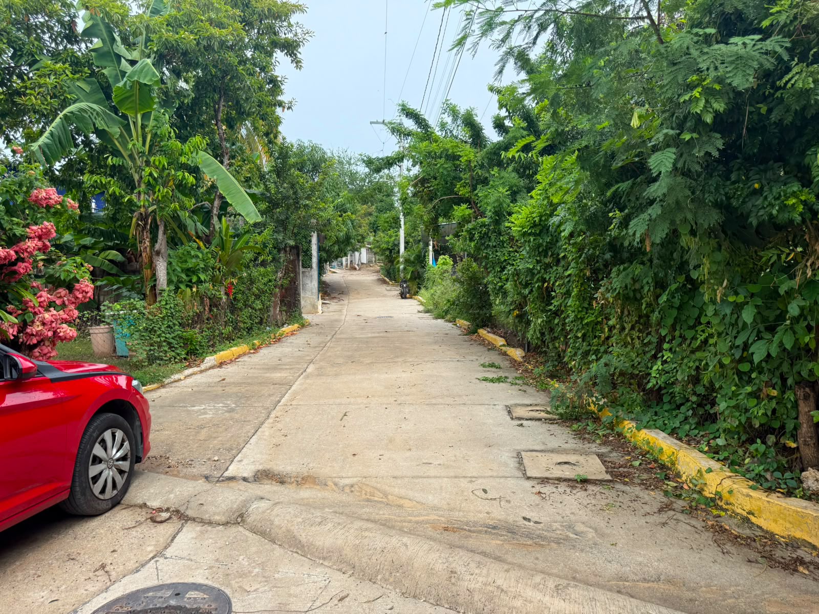 Pavimentación de calle Benito Juárez