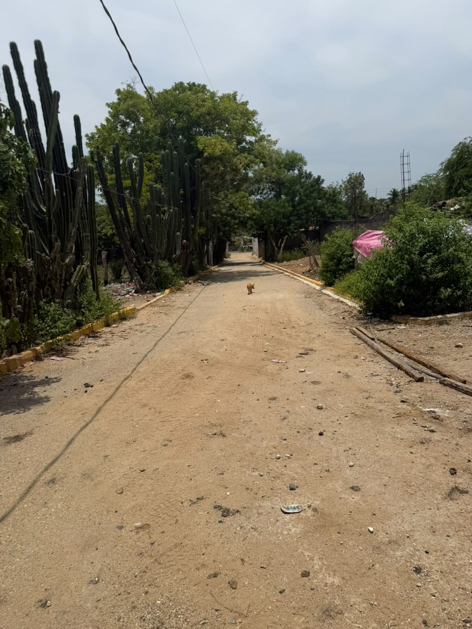 Pavimentación de calle sin nombre hacia la iglesia, obra 70 del Distrito 9