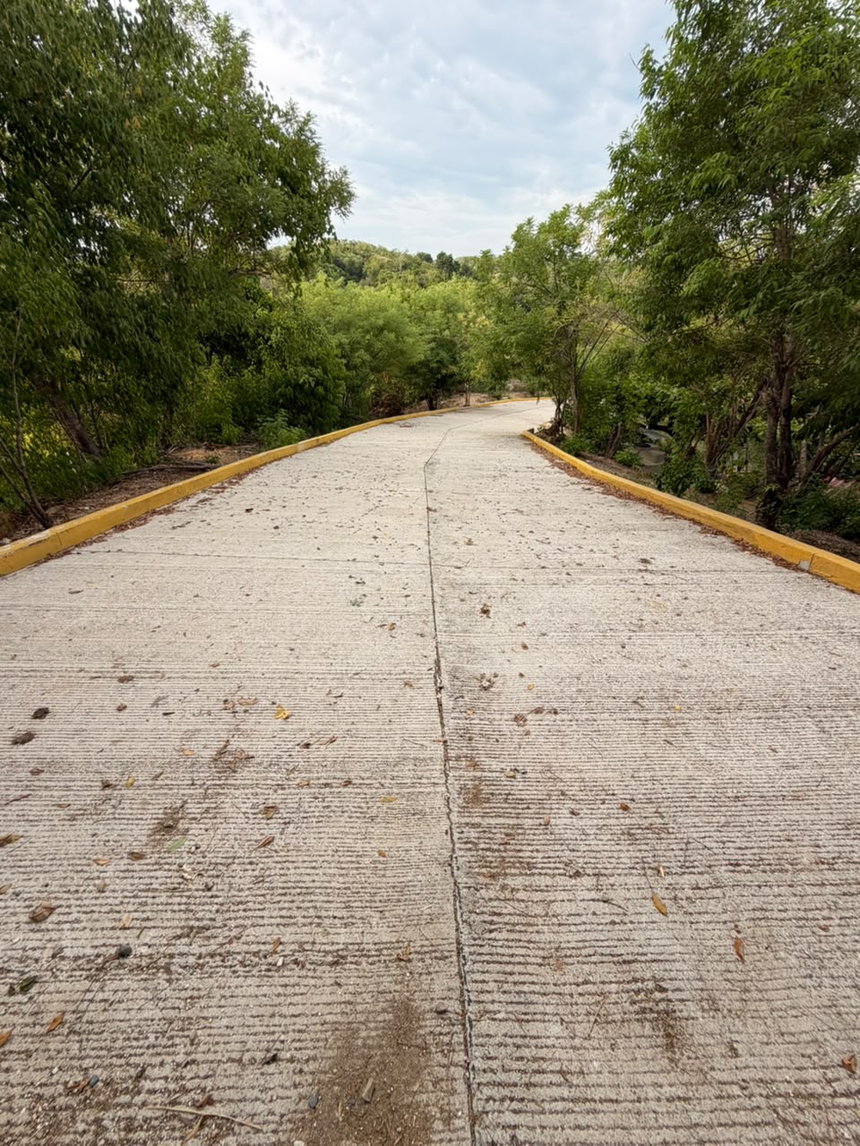 Pavimentación de calle Los Ciruelos