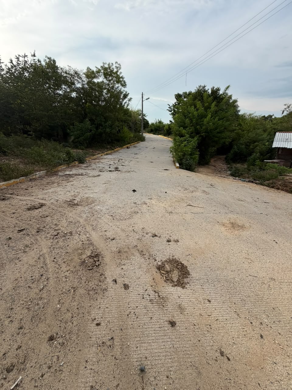 Pavimentación de calle Los Ciruelos