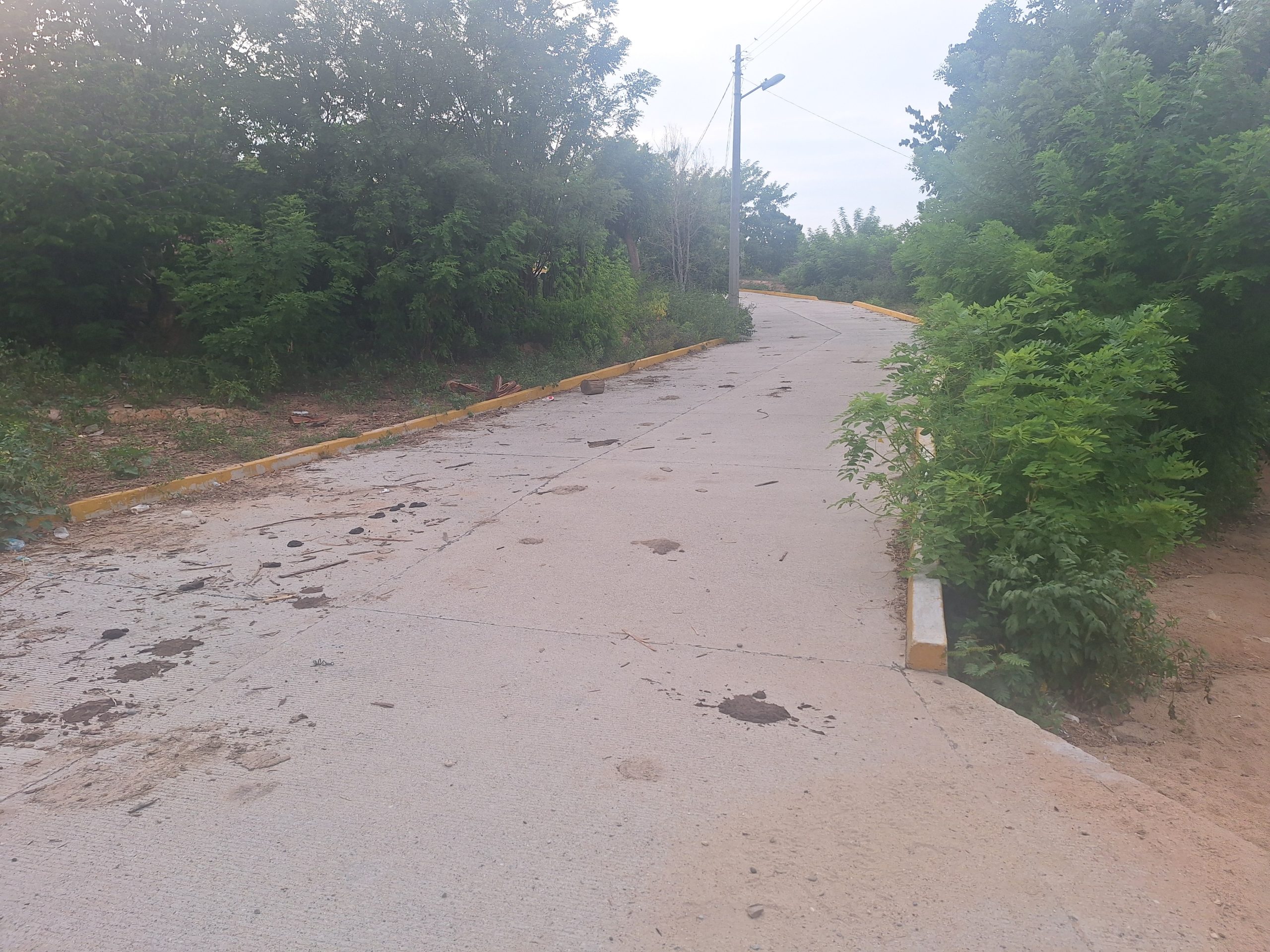 Pavimentación de calle Los Ciruelos