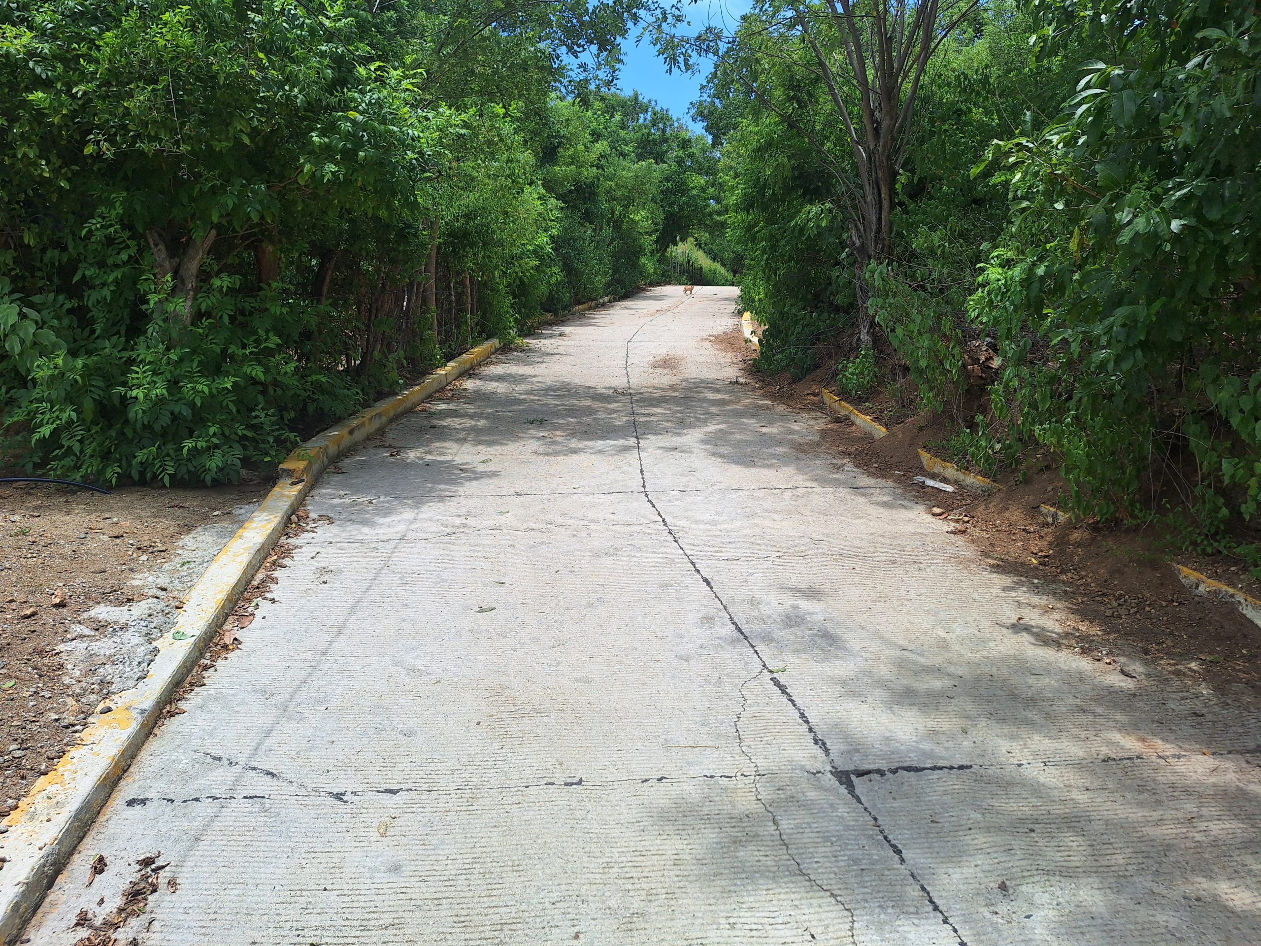 Pavimentación de calle Los Amates