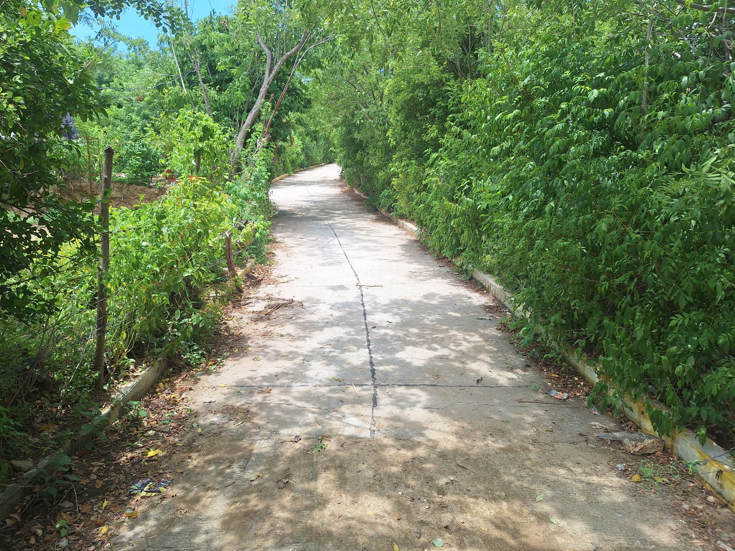 Pavimentación de calle Los Amates