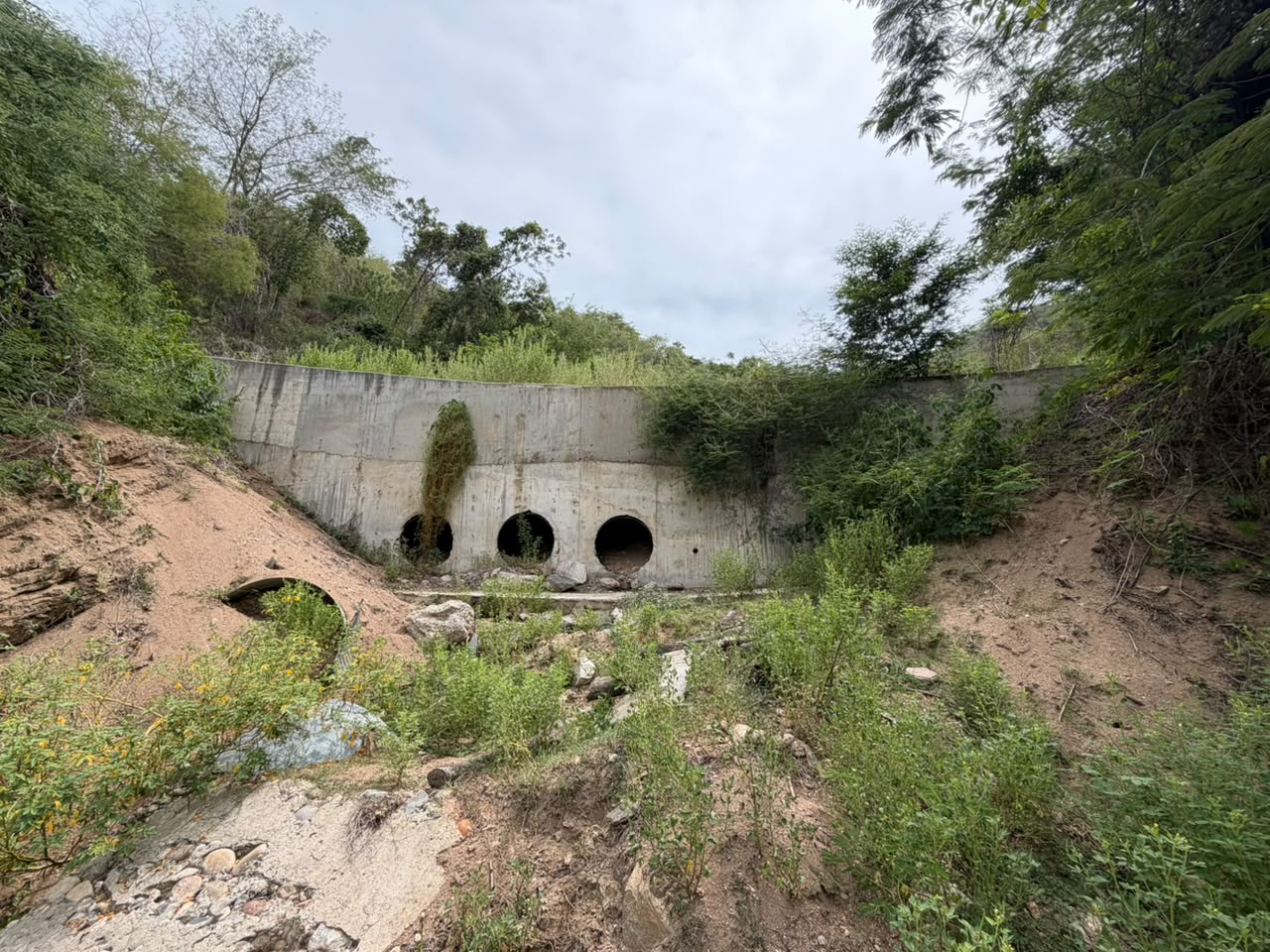 Construcción de muro de contención camino a Pochotlaxco