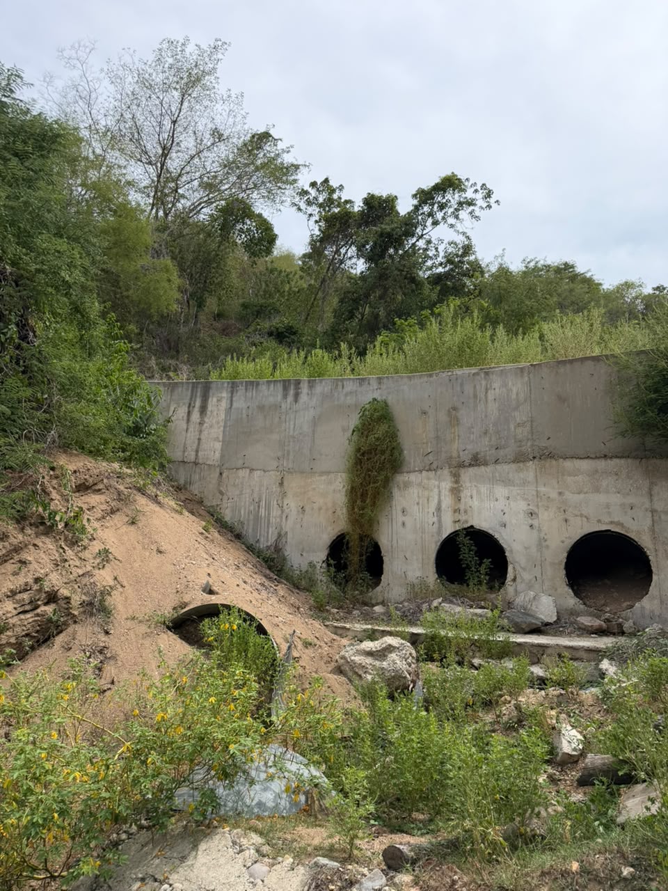 Construcción de muro de contención camino a Pochotlaxco