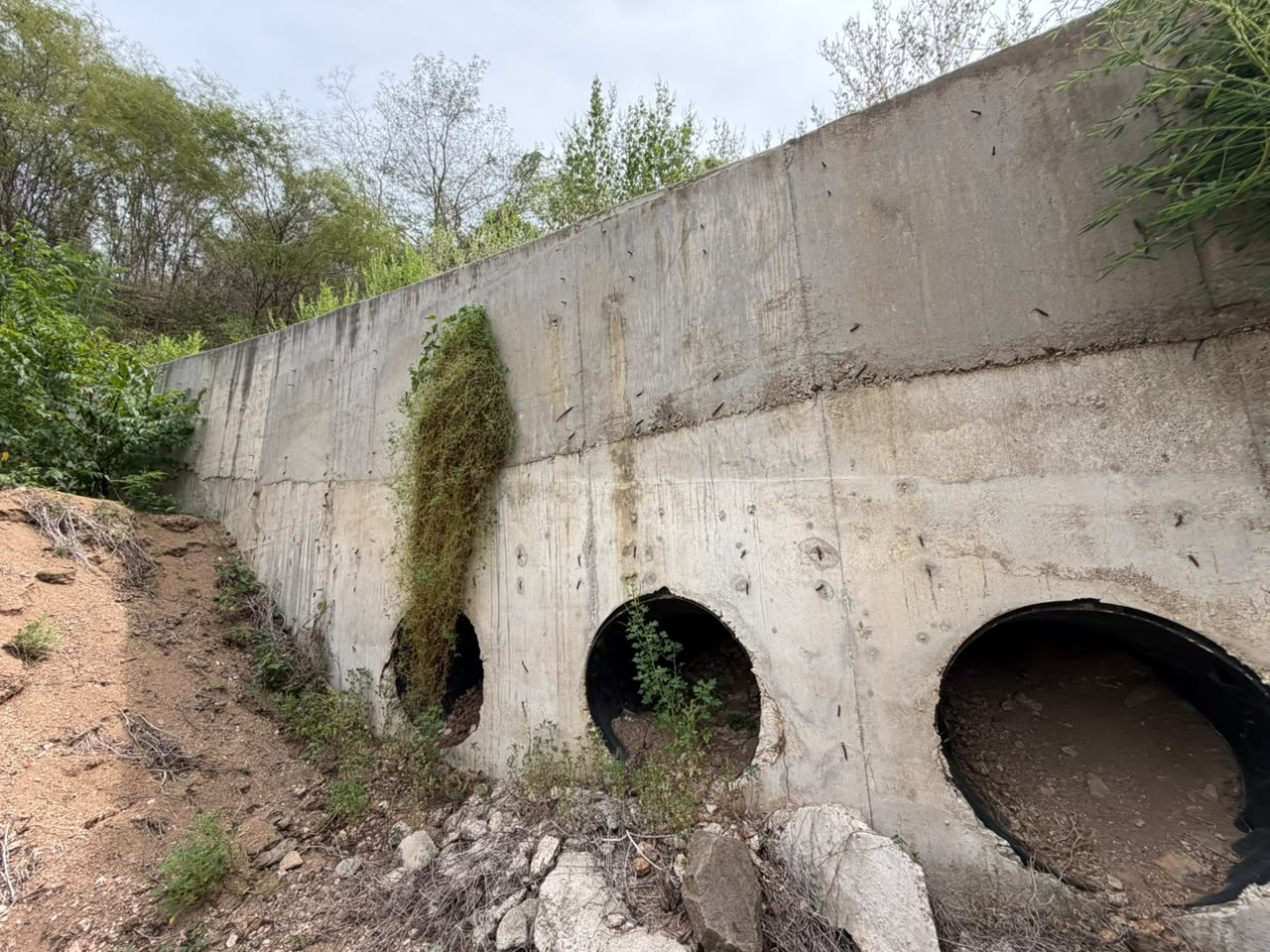 Construcción de muro de contención camino a Pochotlaxco