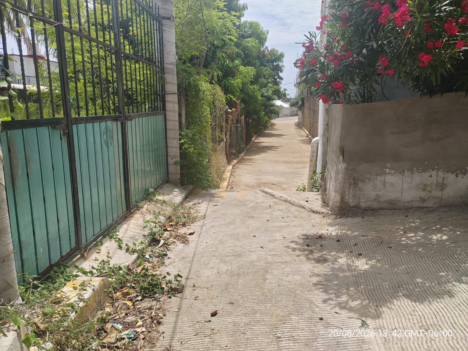Fotografía de la obra