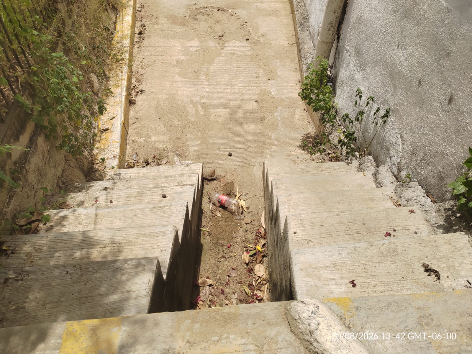 Fotografía de la obra