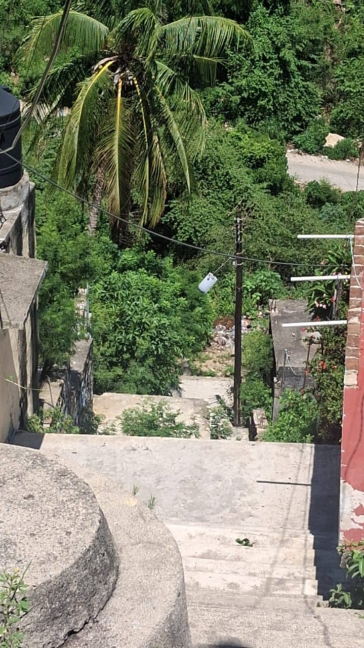 Fotografía de la obra