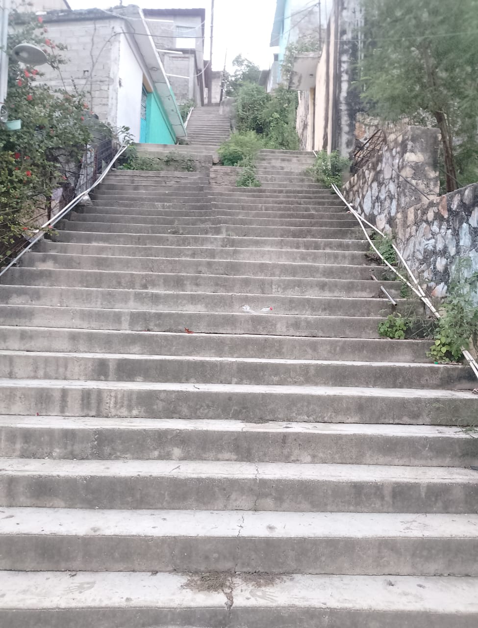 Fotografía de la obra