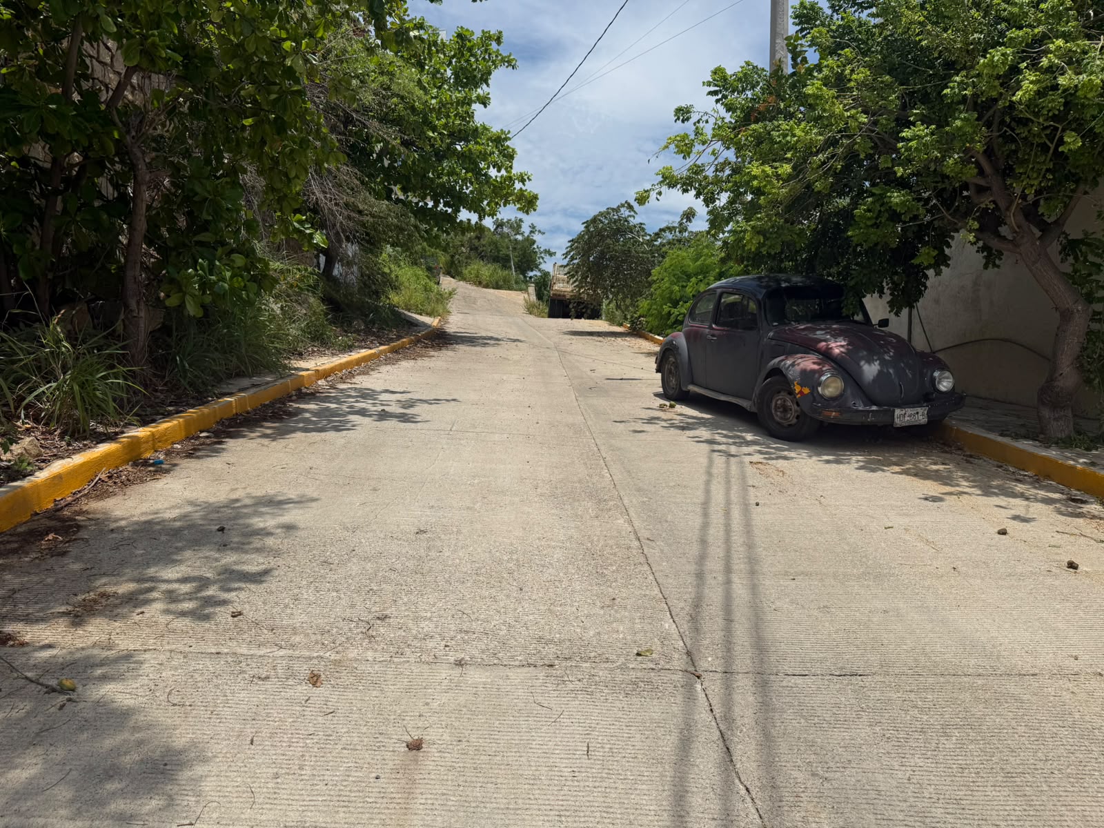 Fotografía de la obra